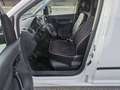 Volkswagen Caddy Caddy 4Motion Klima Pickerl-01/2027 Weiß - thumbnail 16