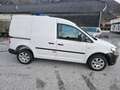 Volkswagen Caddy Caddy 4Motion Klima Pickerl-01/2027 Weiß - thumbnail 2
