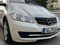 Mercedes-Benz A 160 A 160 CDI BJ 2012 Tüf 03 2026 White - thumbnail 3