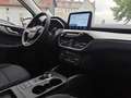Ford Kuga Hybrid 2.5 FHEV Vollhybrid 4x4|NAVI|SHZ|PDC Bleu - thumbnail 11