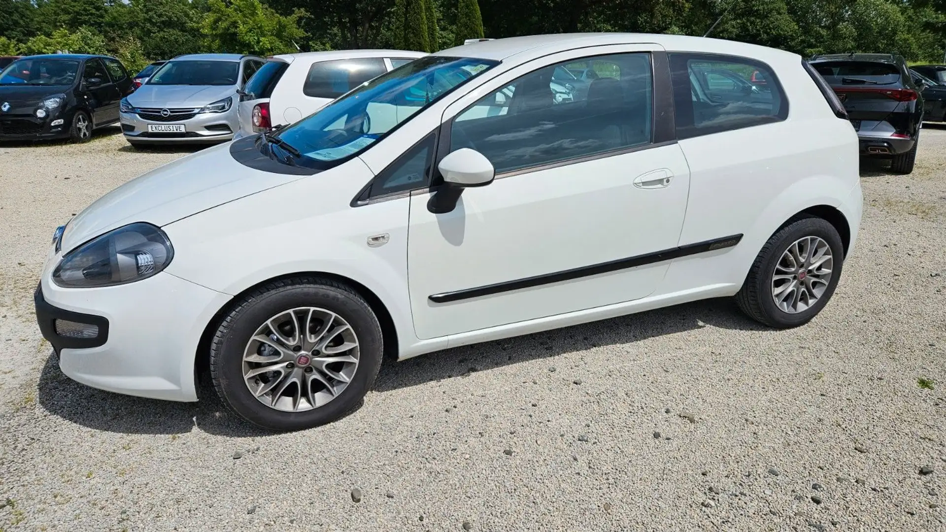 Fiat Punto 1.2 Style ALU 05/2026 Weiß - 2