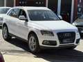Audi Q5 2.0 tdi quattro 190cv s-tronic-s-line-unipro-E6 - thumbnail 1