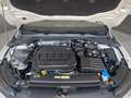 Volkswagen Golf VIII Life (NAVI.SHZ.LED.AHK.PDC.DAB) 2.0 TDI DSG Weiß - thumbnail 15