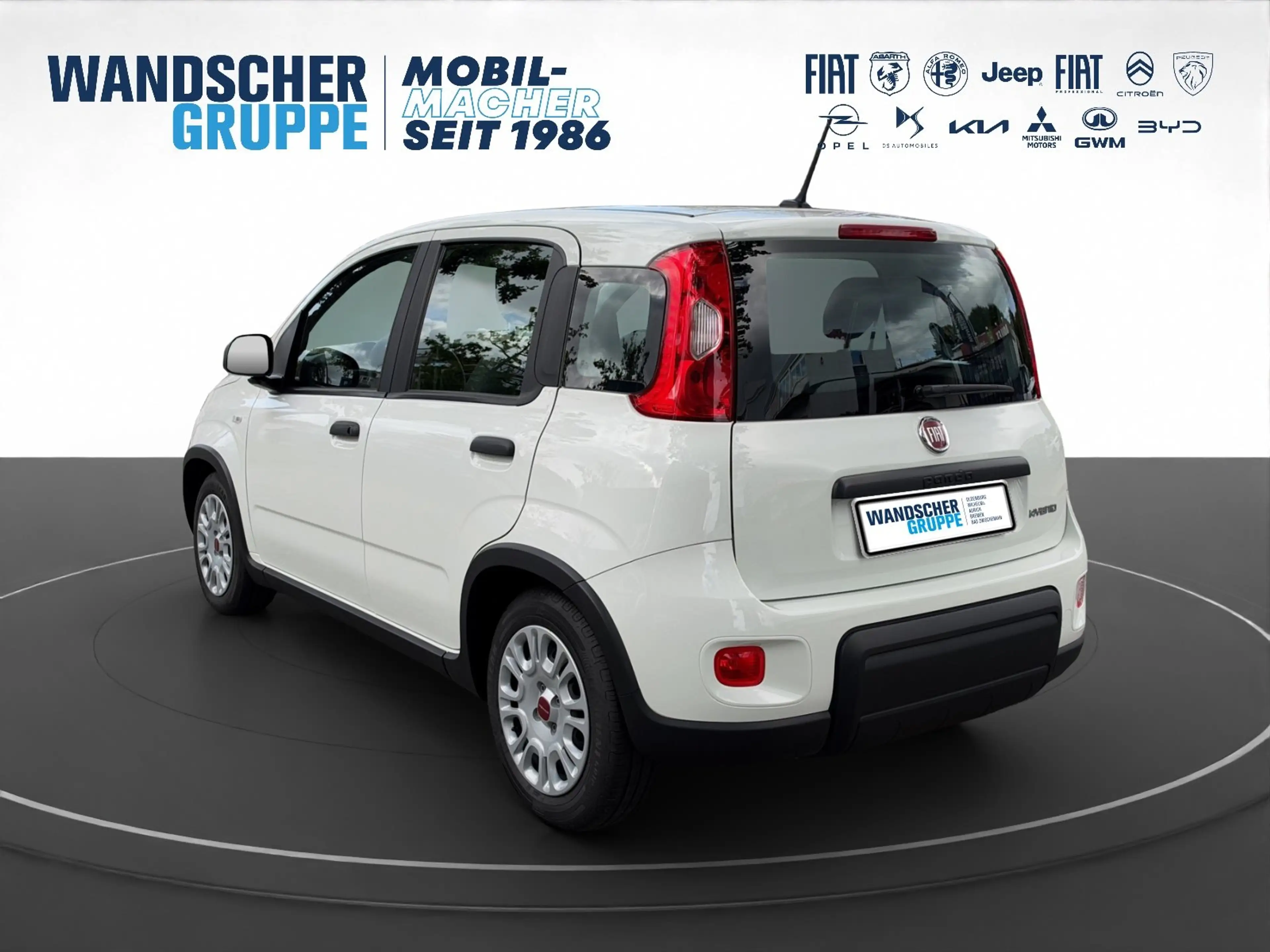 Fiat Panda Base Mild Hybrid 1,0 Klima+ZV+Radio — photo 4