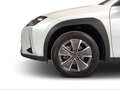 Lexus UX 300e Executive White - thumbnail 10