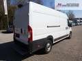 Fiat Ducato Ducato Maxi 35 L5H2 160PS | Serie 8 | SOFORT! Blanc - thumbnail 5