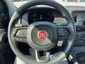 Fiat Panda Pandina Hybrid 1.0 70 FireFly Weiß - thumbnail 11