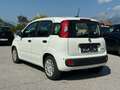 Fiat Panda Pandina Hybrid 1.0 70 FireFly Weiß - thumbnail 4
