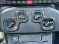 Fiat Panda Pandina Hybrid 1.0 70 FireFly Weiß - thumbnail 14
