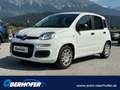 Fiat Panda Pandina Hybrid 1.0 70 FireFly Weiß - thumbnail 1
