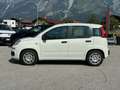 Fiat Panda Pandina Hybrid 1.0 70 FireFly Weiß - thumbnail 3