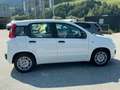 Fiat Panda Pandina Hybrid 1.0 70 FireFly Weiß - thumbnail 7