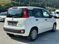 Fiat Panda Pandina Hybrid 1.0 70 FireFly Weiß - thumbnail 6