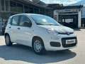 Fiat Panda Pandina Hybrid 1.0 70 FireFly Weiß - thumbnail 8