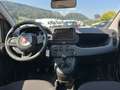 Fiat Panda Pandina Hybrid 1.0 70 FireFly Weiß - thumbnail 10