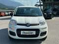 Fiat Panda Pandina Hybrid 1.0 70 FireFly Weiß - thumbnail 9