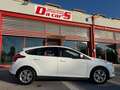 Ford Focus 1.6 105cv 5p, NEOPATENTATI OK! Bianco - thumbnail 10