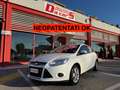 Ford Focus 1.6 105cv 5p, NEOPATENTATI OK! Bianco - thumbnail 2