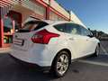 Ford Focus 1.6 105cv 5p, NEOPATENTATI OK! Bianco - thumbnail 12
