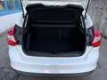 Ford Focus 1.6 105cv 5p, NEOPATENTATI OK! Bianco - thumbnail 7