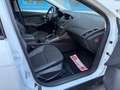 Ford Focus 1.6 105cv 5p, NEOPATENTATI OK! Bianco - thumbnail 9