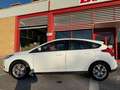 Ford Focus 1.6 105cv 5p, NEOPATENTATI OK! Bianco - thumbnail 4