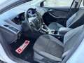 Ford Focus 1.6 105cv 5p, NEOPATENTATI OK! Bianco - thumbnail 3