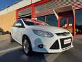 Ford Focus 1.6 105cv 5p, NEOPATENTATI OK! Bianco - thumbnail 8