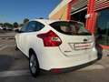 Ford Focus 1.6 105cv 5p, NEOPATENTATI OK! Bianco - thumbnail 6