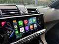 DS Automobiles DS 7 Crossback etense 4x4 PREZZO REALE NESSUN OBBLIGO FINANZIARIO Grau - thumbnail 20