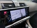 DS Automobiles DS 7 Crossback etense 4x4 PREZZO REALE NESSUN OBBLIGO FINANZIARIO Grau - thumbnail 17
