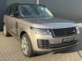 Land Rover Range Rover Range Rover 4.4 SDV8 Autobiography 6D 1 Owner Gris - thumbnail 3