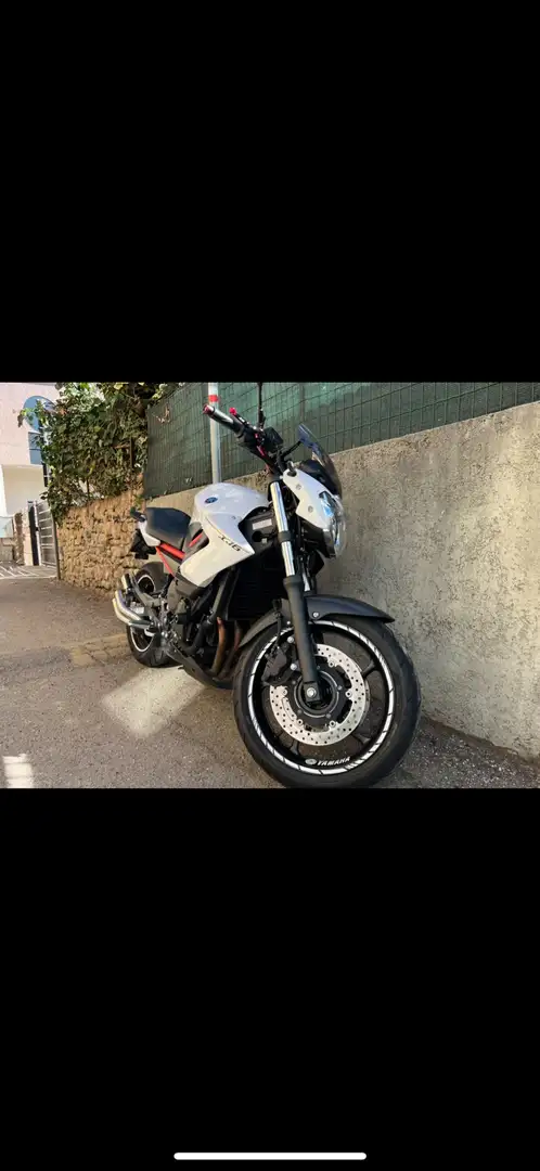 Yamaha XJ 6 Bianco - 1