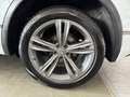 Volkswagen Tiguan DSG 4MO 3X R-LINE PANO MEMORY BLACK STYLE Weiß - thumbnail 21