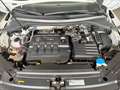 Volkswagen Tiguan DSG 4MO 3X R-LINE PANO MEMORY BLACK STYLE Weiß - thumbnail 20