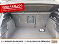 Ford Focus 1.0t ecoboost h st-line x 125cv Gris - thumbnail 12