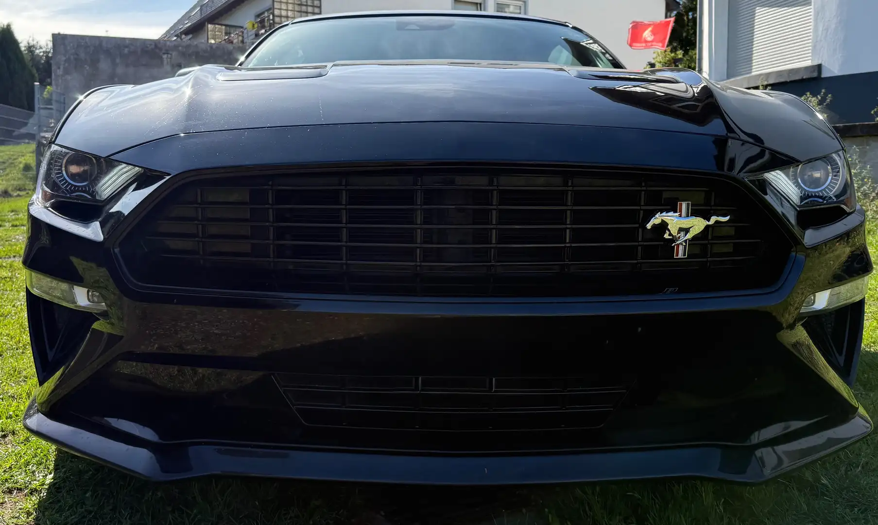 Ford Mustang Mustang Convertible 5.0 Ti-VCT V8 Aut.GT Schwarz - 2
