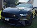 Ford Mustang Mustang Convertible 5.0 Ti-VCT V8 Aut.GT Schwarz - thumbnail 14