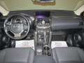 Lexus NX 300h Hybrid 4WD Premium Bianco - thumbnail 10