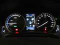 Lexus NX 300h Hybrid 4WD Premium Bílá - thumbnail 12