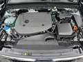 Volvo XC40 B3 Mild-Hybrid Benzin Core 2WD Verde - thumbnail 22