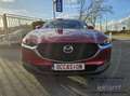 Mazda CX-30 2.0i SKYACTIV-G MHE Skydrive * REPRISE POSSIBLE * Rood - thumbnail 2