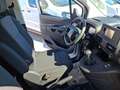 Toyota Proace City Kasten 1.5 D 102 L1 Duty Weiß - thumbnail 27