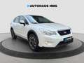 Subaru XV Comfort 4X4 *SITZHZ*KAMERA*TEMPOMAT* Fehér - thumbnail 7