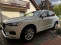 Volvo XC60 D3 Momentum Weiß - thumbnail 3