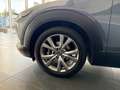 Mazda CX-30 SKY-G 2.0 M Hybrid 6GS AL-SELECTION A18 DES-P Grau - thumbnail 9
