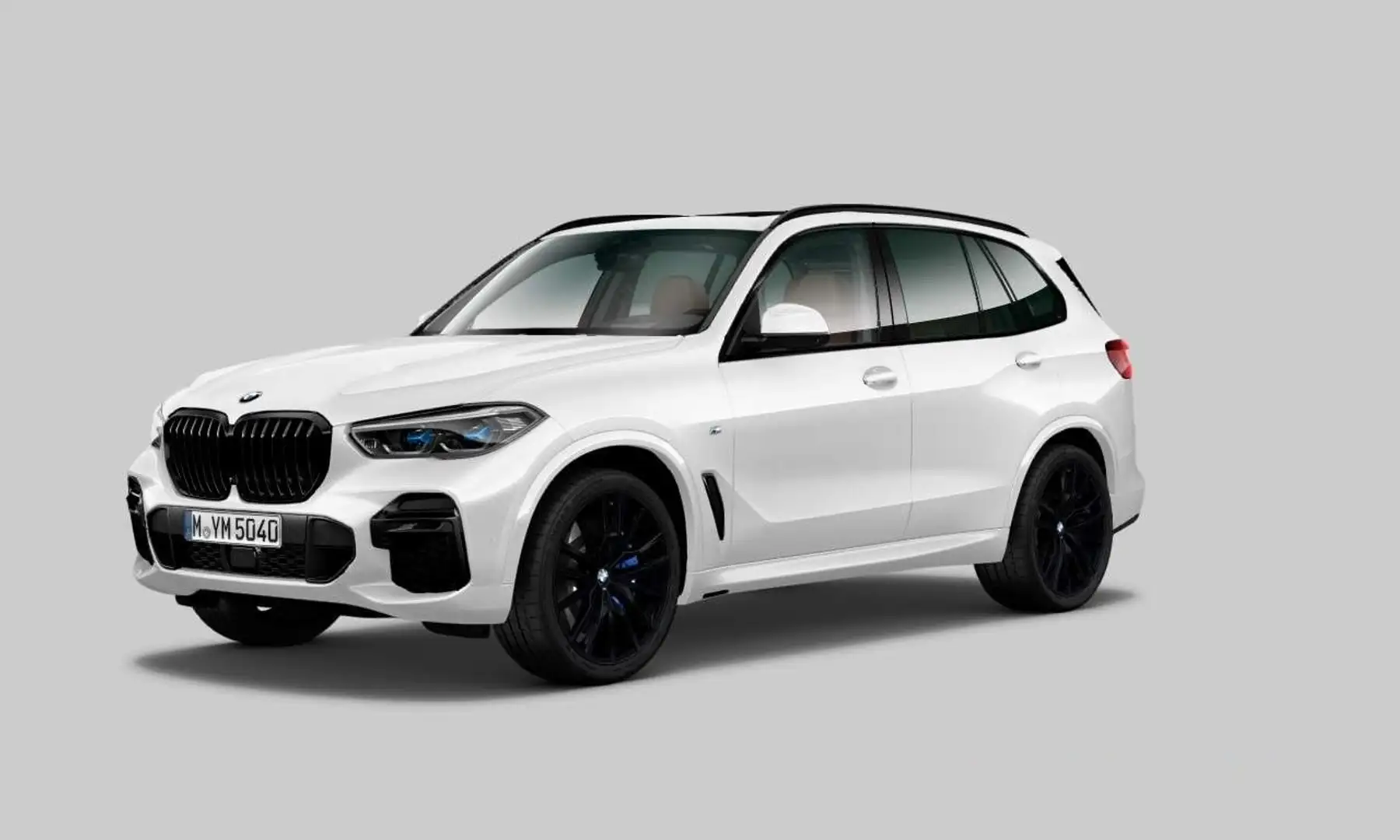 BMW X5 xDr30d M Sport PANO*2Achs*Sitzkl*StandHz*360° Wit - 1