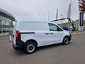 Renault Kangoo Van Extra  TCe 100 * TEMPOMAT * EINPARKHILFE Weiß - thumbnail 12