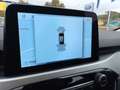 Ford Kuga 120PS Diesel/Automatik 2,0 EcoBlue AWD Cool & C... Grau - thumbnail 18