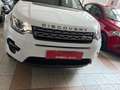 Land Rover Discovery Sport I 2015 2.0 td4 HSE Luxury awd auto Blanc - thumbnail 6
